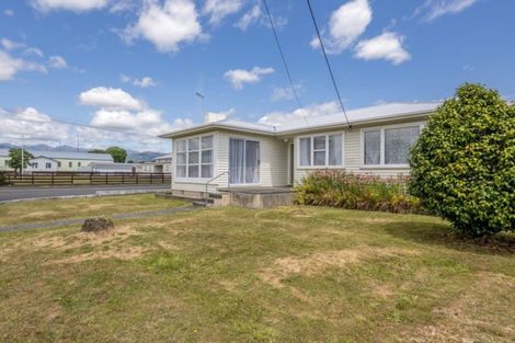 Photo of property in 60 Power Street, Levin, 5510