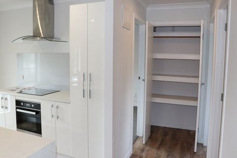 Photo of property in 11 Hammond Street, Hamilton Central, Hamilton, 3204