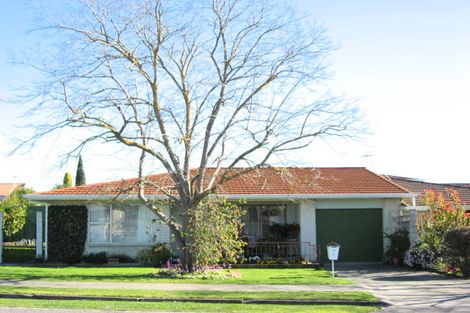 Photo of property in 2b Scannell Street, Havelock North, 4130
