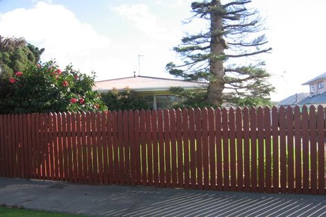Photo of property in 347 Tremaine Avenue, Takaro, Palmerston North, 4412