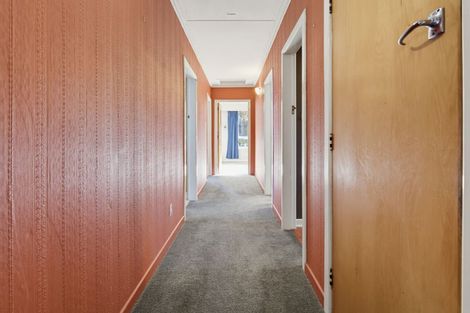 Photo of property in 180 Flora Road, Lumsden, 9730