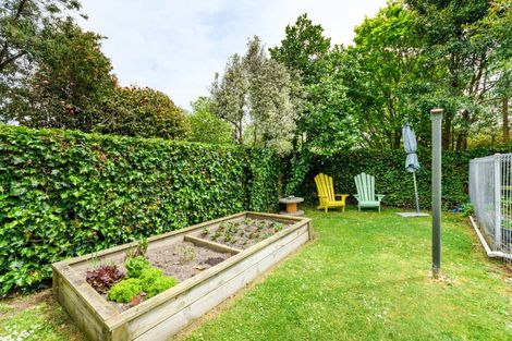 Photo of property in 12 Kimbolton Road, Feilding, 4702