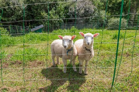 Photo of property in 22 Awatiro Drive, Kaukapakapa, 0871