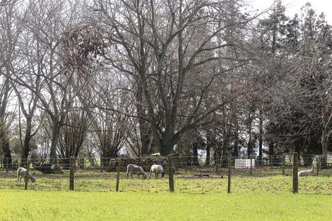 Photo of property in 78 Mellon Road, Otway, Te Aroha, 3393