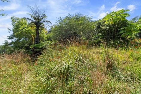 Photo of property in 11 Waitawheta Road, Waikino, Waihi, 3682