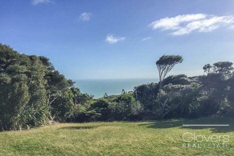 Photo of property in 19 Te Ahuahu Road, Piha, 0772