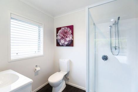 Photo of property in 1288 Churchill Road, Pukekawa, Tuakau, 2696