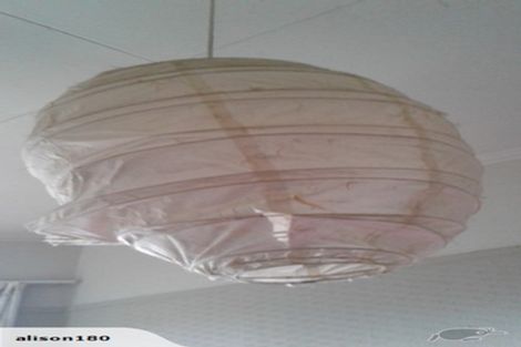 Photo of property in 13 Mortimer Terrace, Aro Valley, Wellington, 6021