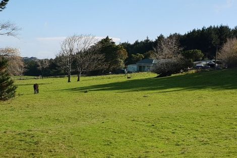 Photo of property in 169 Halliday Road, Waingaro, Ngaruawahia, 3793