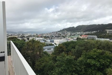Photo of property in 147 Tasman Street, Mount Cook, Wellington, 6021