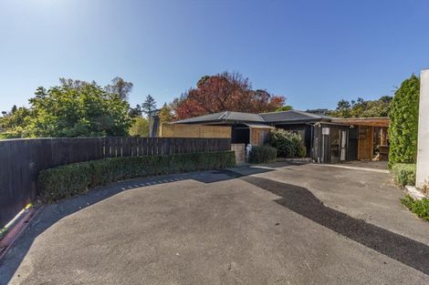 Photo of property in 11a Awarua Crescent, Havelock North, 4130