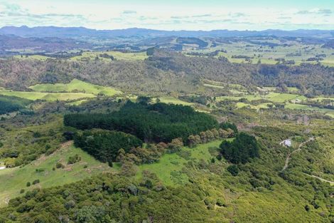 Photo of property in 425m Boat Harbour Road, Whenuakite, Whitianga, 3591