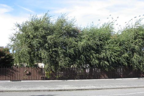 Photo of property in 48 Chalmers Avenue, Hampstead, Ashburton, 7700