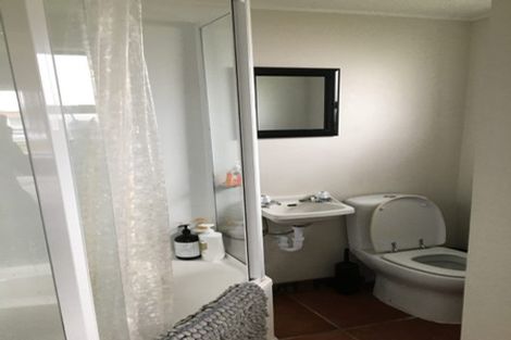 Photo of property in 17 Reeve Street, Levin, 5510