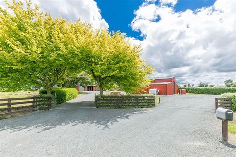 Photo of property in 533 Candy Road, Pokuru, Te Awamutu, 3875