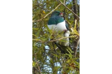 Photo of property in 60 Puhoi Road, Puhoi, Warkworth, 0994