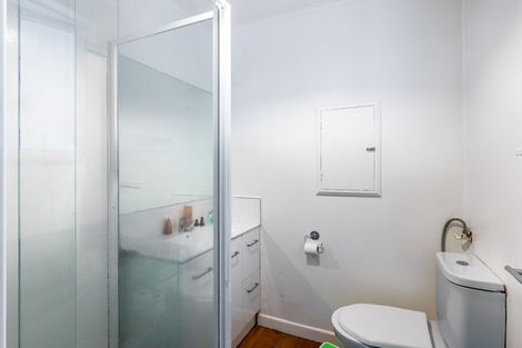 Photo of property in 17 Hutchinson Avenue, New Lynn, Auckland, 0600