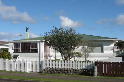 Photo of property in 20 Stirling Street, Levin, 5510