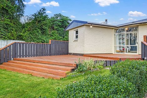Photo of property in 7 Ascot Street, Levin, 5510