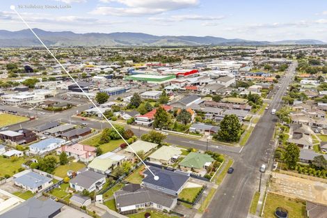 Photo of property in 56 Salisbury Street, Levin, 5510