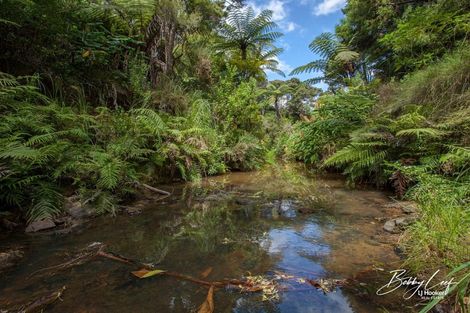 Photo of property in 1 Lori Lane, Coopers Beach, 0420