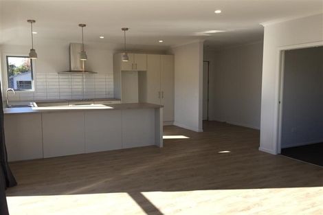 Photo of property in 20 Mako Street, Richmond, 7020