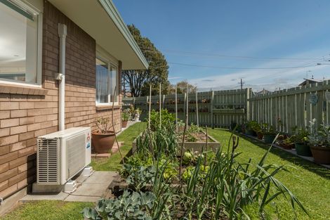 Photo of property in 1 Yatton Street, Greerton, Tauranga, 3112