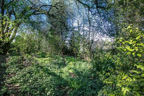 Photo of property in 33 Havelock Street, Mornington, Wellington, 6021