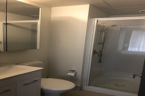 Photo of property in Dual Apartments, 108/142 Vivian Street, Te Aro, Wellington, 6011