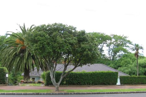 Photo of property in 39 Premier Avenue, Point Chevalier, Auckland, 1022