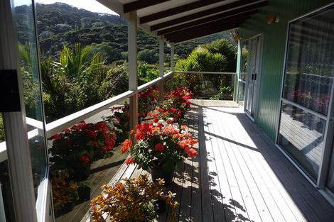 Photo of property in 54 Little Bay Drive, Waikawau, Coromandel, 3584