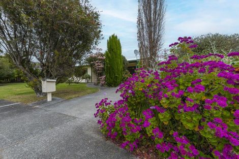 Photo of property in 51 Andrew Street, Waikanae, 5036