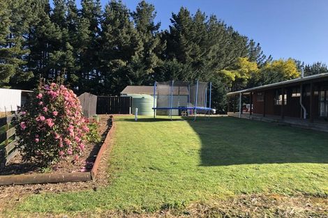 Photo of property in 17 Hokio Sand Road, Hokio Beach, Levin, 5571