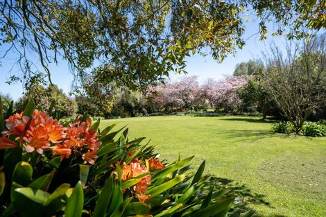 Photo of property in 229 Norwegian Road, Rotoorangi, Cambridge, 3495