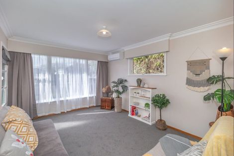 Photo of property in 43 Trafalgar Street, Levin, 5510