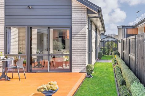 Photo of property in 16 Probert Crescent, Chartwell, Hamilton, 3210