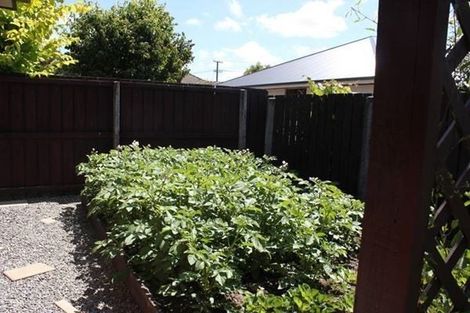 Photo of property in 58 Moore Street, Rolleston, 7614