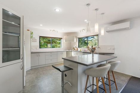 Photo of property in 161a Don Buck Road, Massey, Auckland, 0614