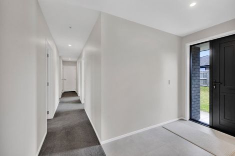 Photo of property in 3 Macbeth Street, Stratford, 4332