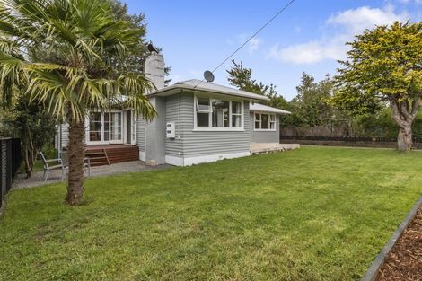 Photo of property in 14 Adams Street, Waihi, 3610