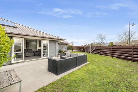 Photo of property in 244 Southfield Drive, Lincoln, 7608