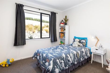 Photo of property in 250 Delta Lake Heights, Renwick, 7271