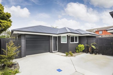 Photo of property in 17c Alfred Street, Roslyn, Palmerston North, 4414