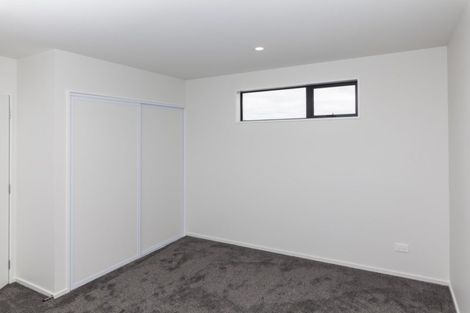 Photo of property in 136 Metehau Street, Marshland, Christchurch, 8083