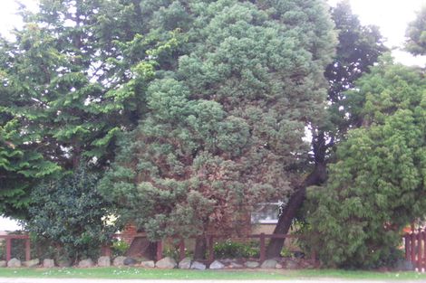 Photo of property in 117 Clayton Road, Mangakakahi, Rotorua, 3015