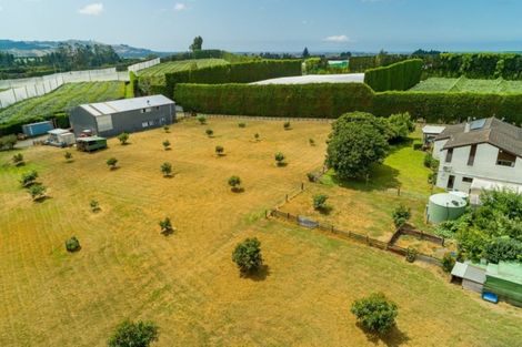 Photo of property in 361 Manoeka Road, Te Puke, 3183
