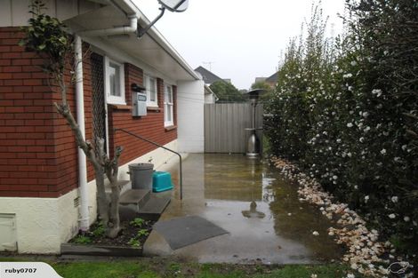 Photo of property in 275a Ulster Street, Whitiora, Hamilton, 3200