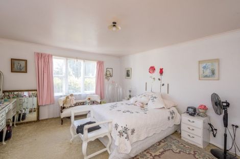 Photo of property in 99 Queen Street West, Levin, 5510