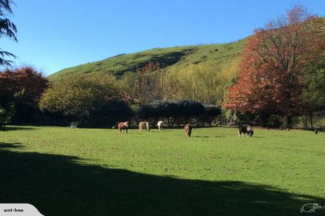 Photo of property in 100 Falloon Settlement Road, Kaituna, Masterton, 5888