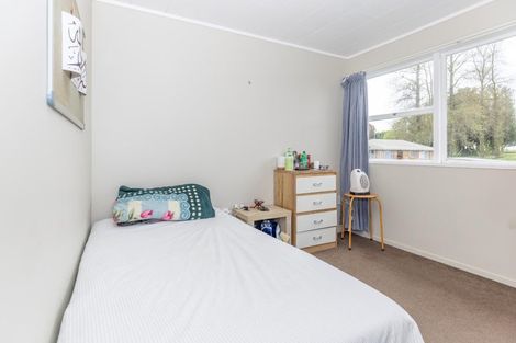 Photo of property in 206 Williams Street, Te Awamutu, 3800